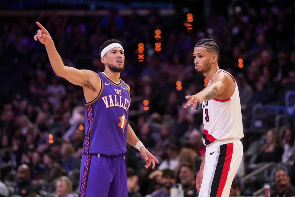 们提供了一 们提供了一