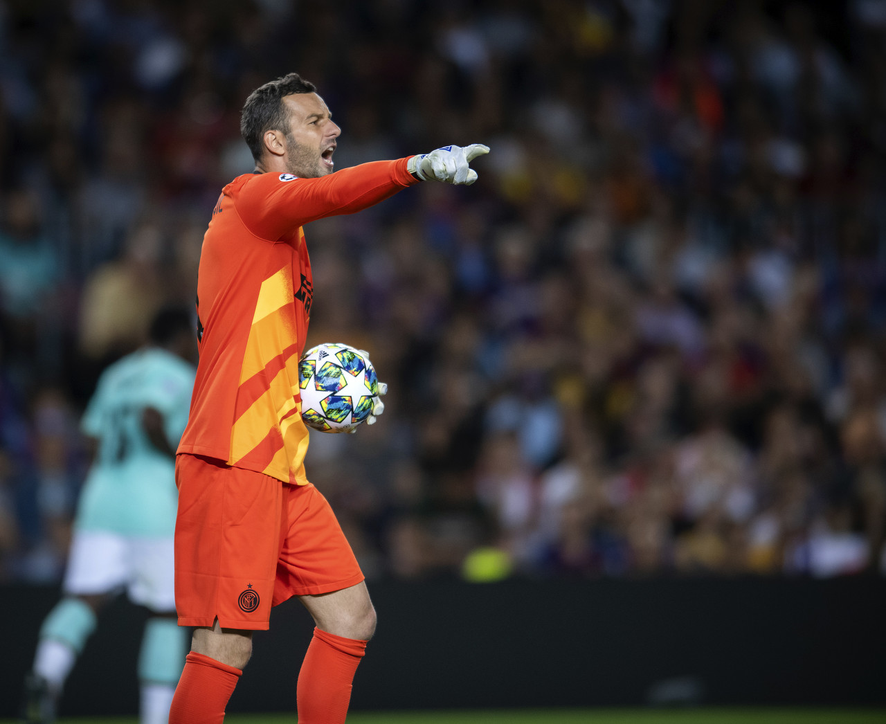 再次获得亚 再次获得亚